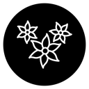 Jasmine Flowers Black Filled icon