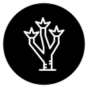 Joshua tree 2 icon