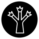 Joshua tree icon