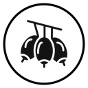 Jujube icon
