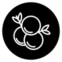 Juniper icon