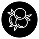 Juniper icon