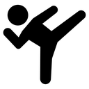 Karate fighter Black Filled icon