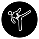 Karate fighter icon