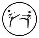 Kickboxing icon