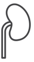 Kidney Black Filled icon