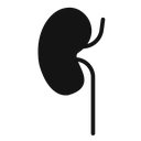 Kidney 2 icon