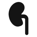 Kidney icon
