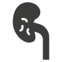 Kidney disease icon