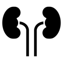 Kidney Disease icon