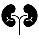 Kidney Pair Ureters icon