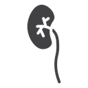 Kidneys icon