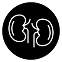 Kidneys 2 icon