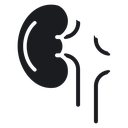 Kidneys 3 icon