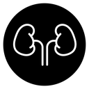 Kidneys icon