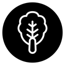 Kimchi 2 icon