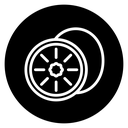 Kiwi 5 icon