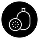 Kiwi icon