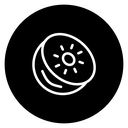 Kiwi 2 icon