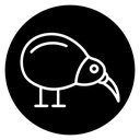 Kiwi bird 2 icon