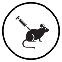 Lab rat experiment icon