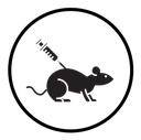 Lab rat experiment icon