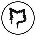 Large intestine icon