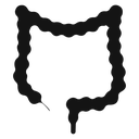 Large intestine icon