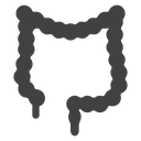 Large intestine icon