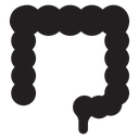 Large intestine icon