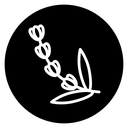 Lavender icon