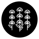 Lavender Flowers Black Filled icon