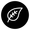 Leaf 2 icon