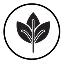 Leaf icon