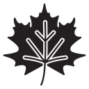 Leaf icon