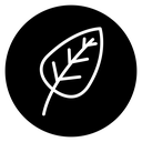 Leaf icon