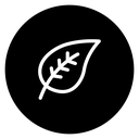 Leaf icon