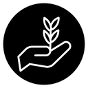 Leaf in hand icon