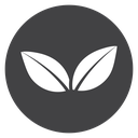 Leaf Pair icon