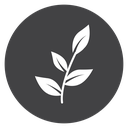 Leaf Black Filled icon