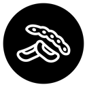 Legume icon