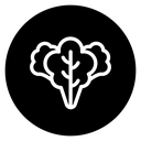 Lettuce 2 icon