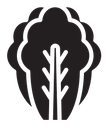 Lettuce icon