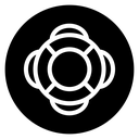 Lifebuoy icon