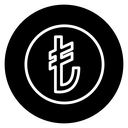 Lira sign 2 icon