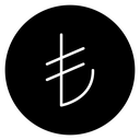 Lira sign 2 icon