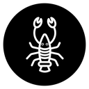 Lobster icon