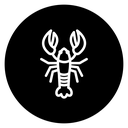 Lobster 2 icon