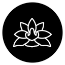 Lotus Flower icon