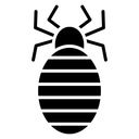 Louse Black Filled icon
